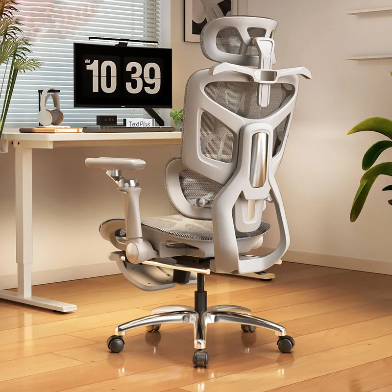 Home Office Ergonomics - Ergonomic Computer Chair with Lumbar Support