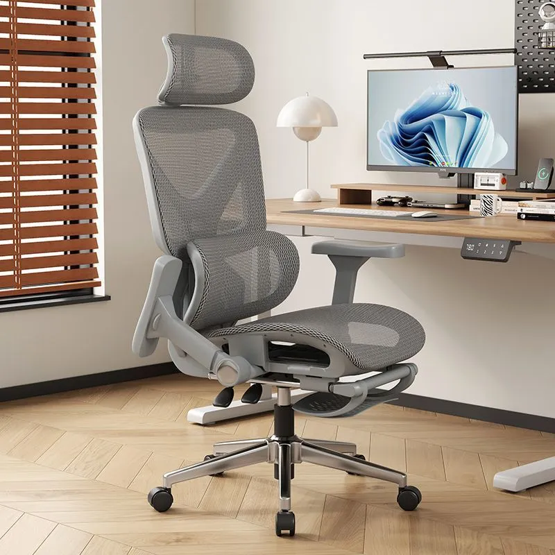 Home Office Ergonomics - Ergonomic Computer Chair with Lumbar Support