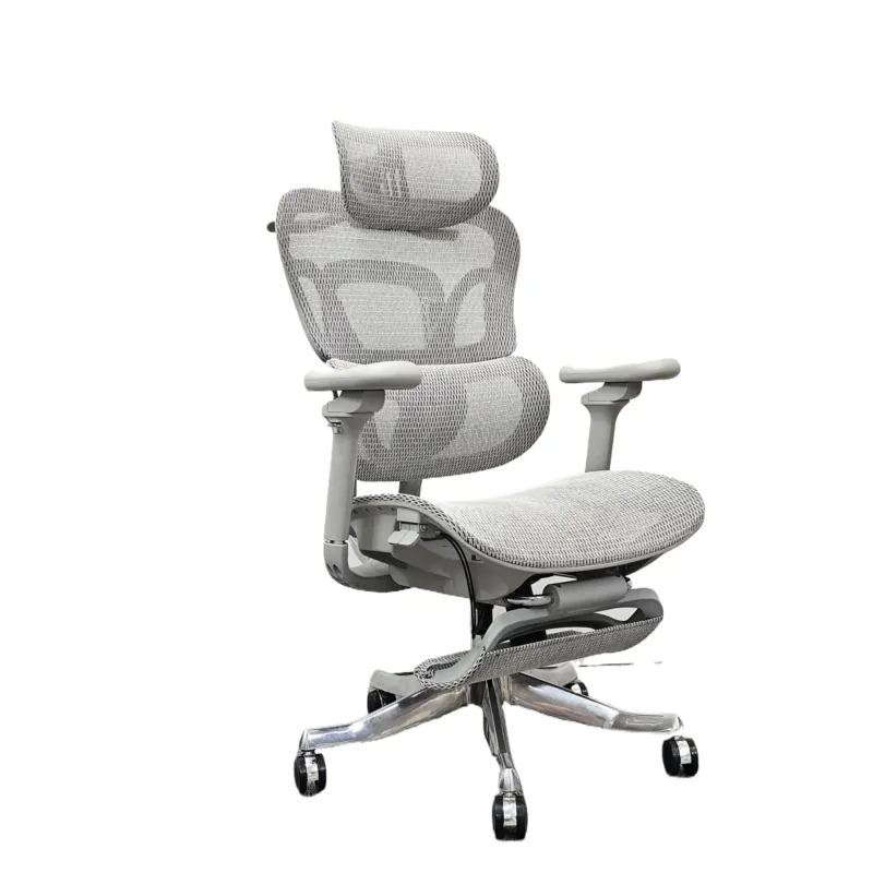 Ergonomic Office Chair for Com - đánh giá và giá Home Office Ergonomics
