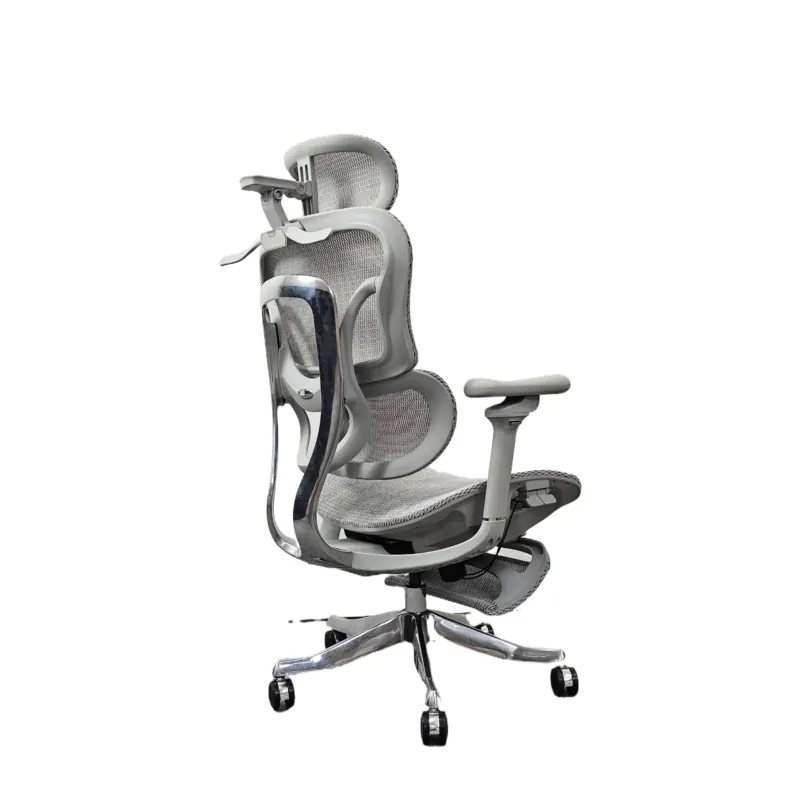 Ergonomic Office Chair for Com - đánh giá và giá Home Office Ergonomics