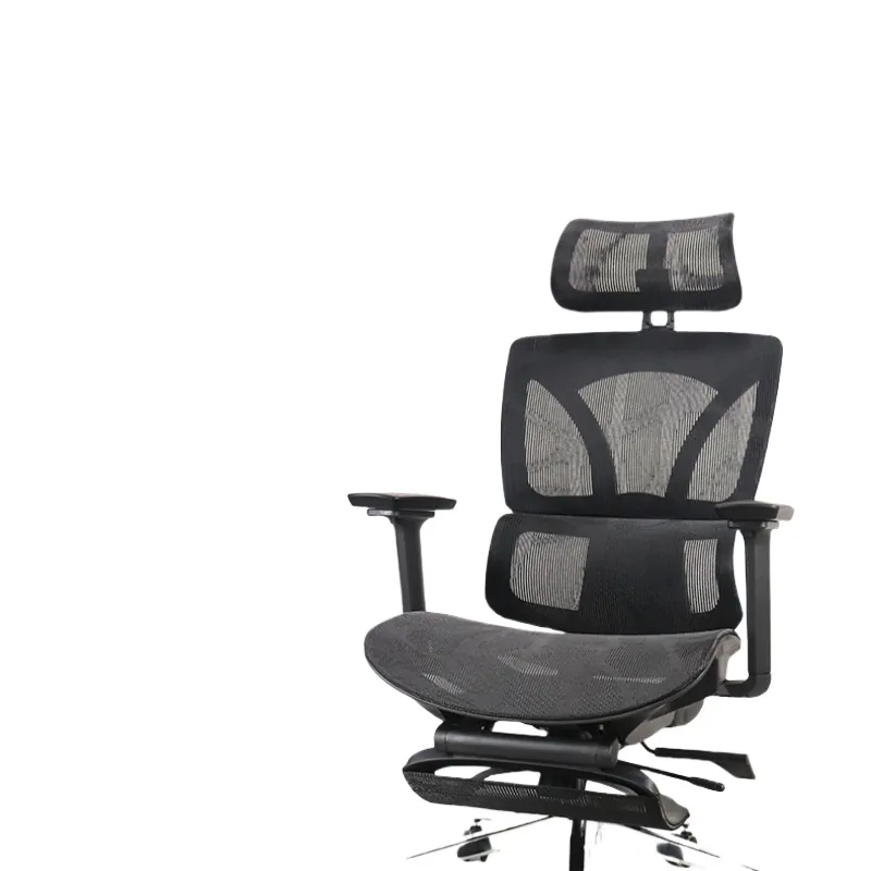 Ergonomic Office Chair for Rui - đánh giá và giá Home Office Design