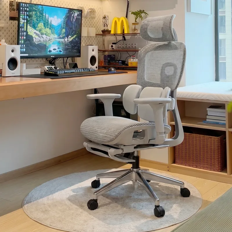 Ergonomic Office Chair with Lu - đánh giá và giá Home Office Ergonomics