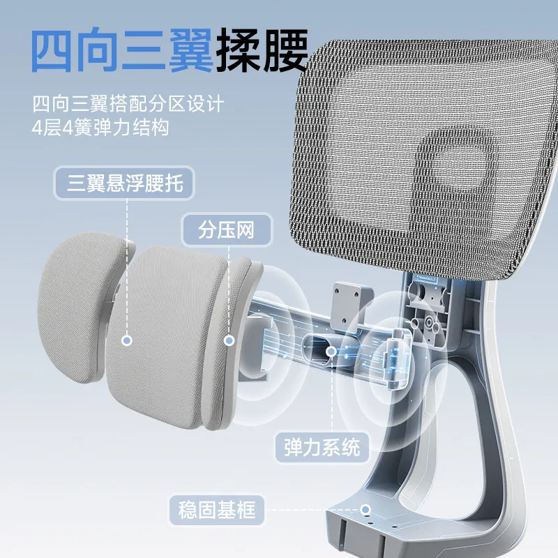 Ergonomic Office Chair with Lu - đánh giá và giá Home Office Ergonomics