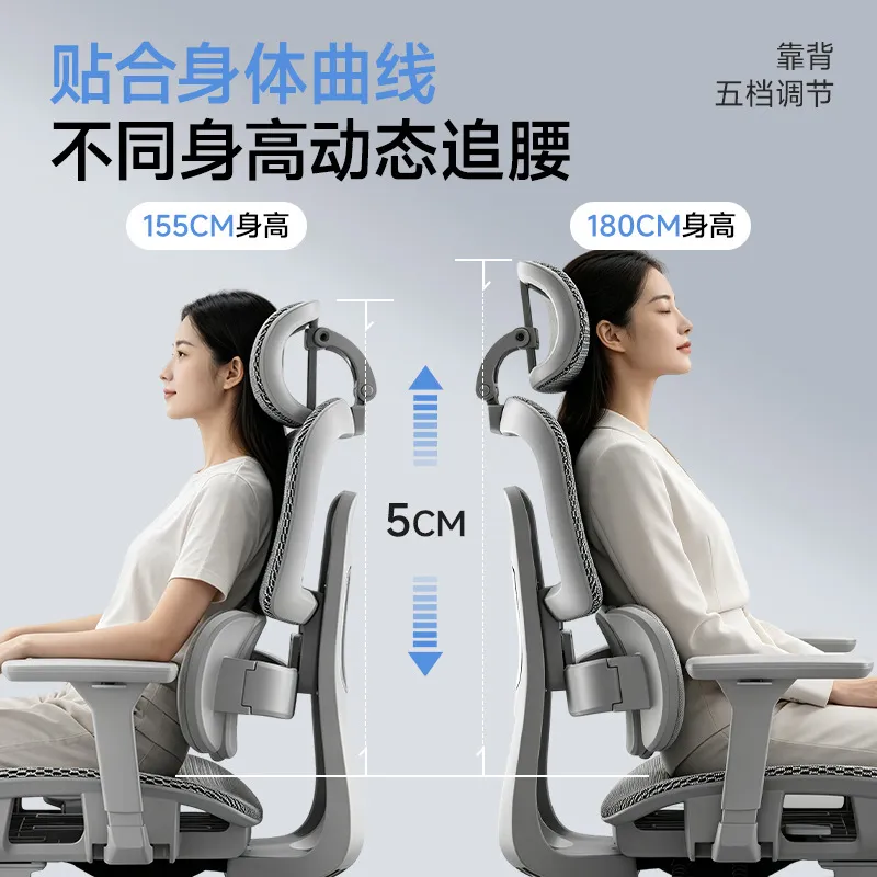 Ergonomic Office Chair with Lu - đánh giá và giá Home Office Ergonomics