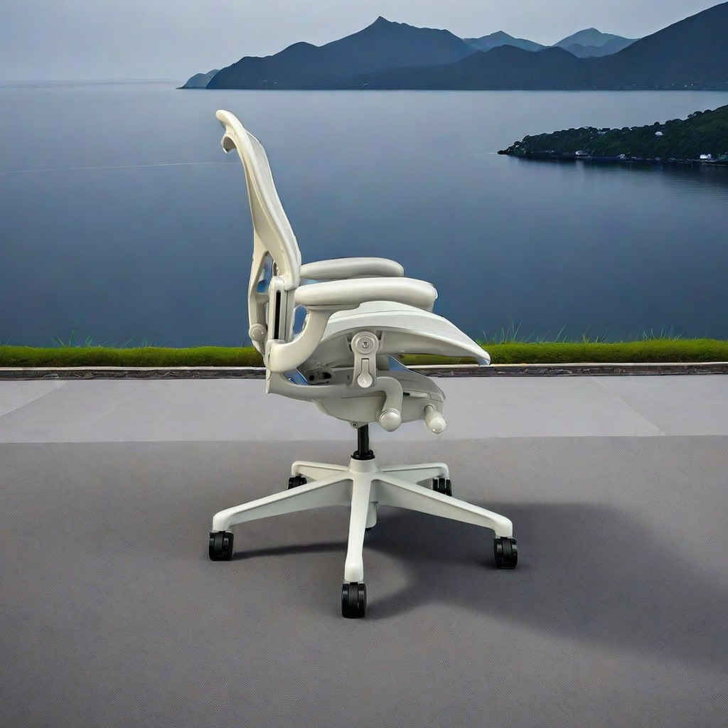 Representative ergonomic chair - đánh giá và giá Home Office Representative