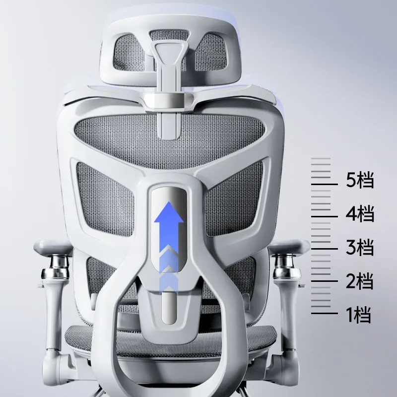 Ergonomic Computer Chair with  - đánh giá và giá Home Office Ergonomics